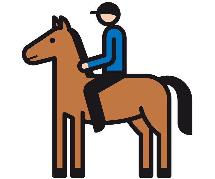 reiten3